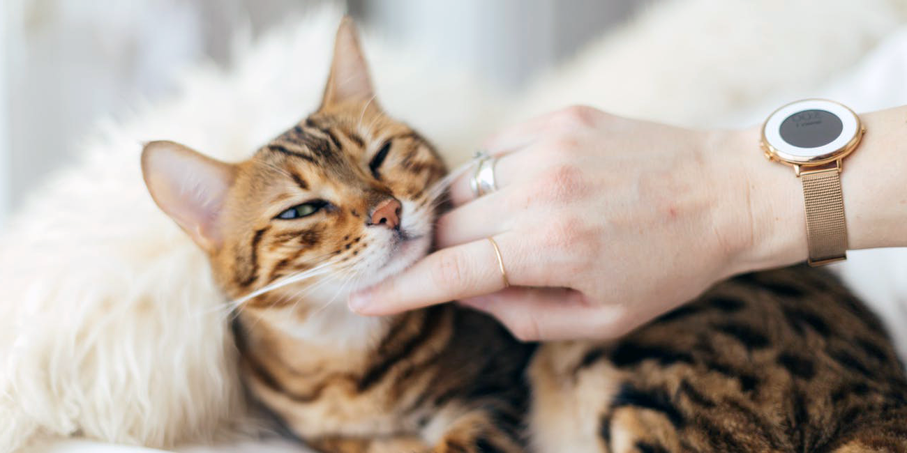 лікування фіп gs-441524